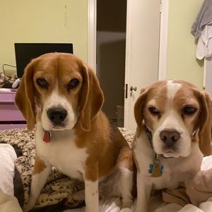 Meet your Posher, Libby